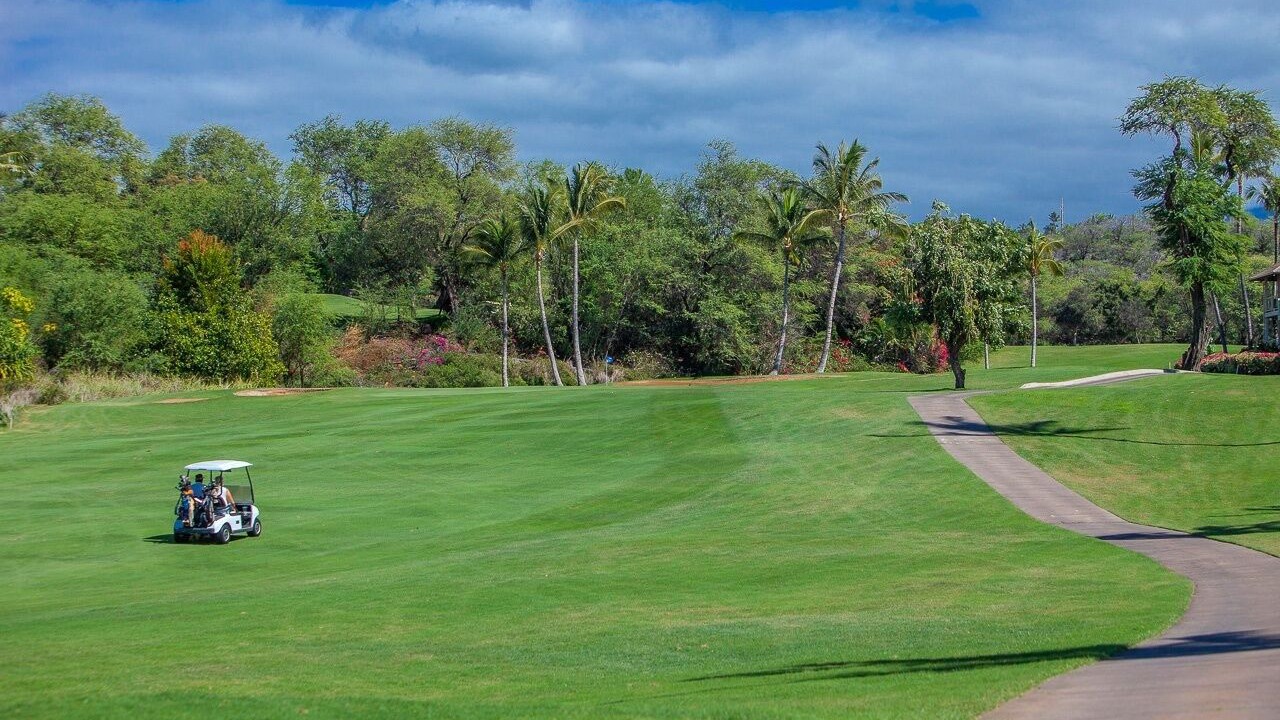 Photo of Others in Wailea