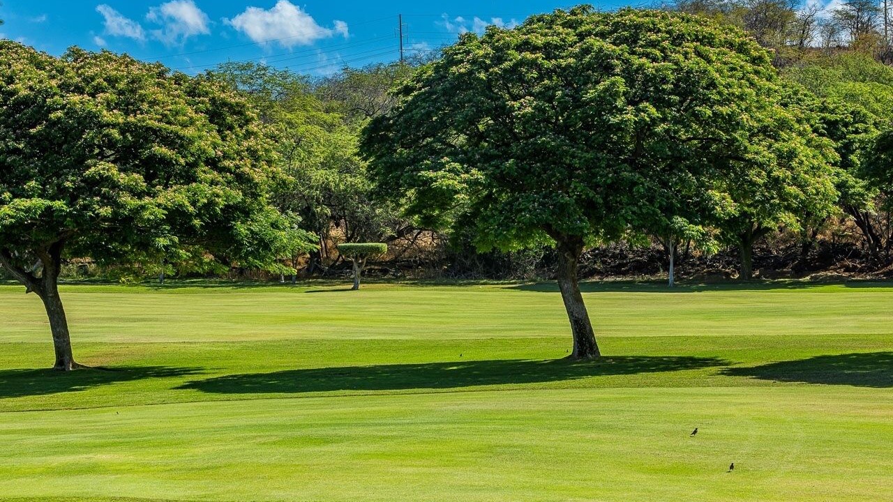Photo of Others in Wailea