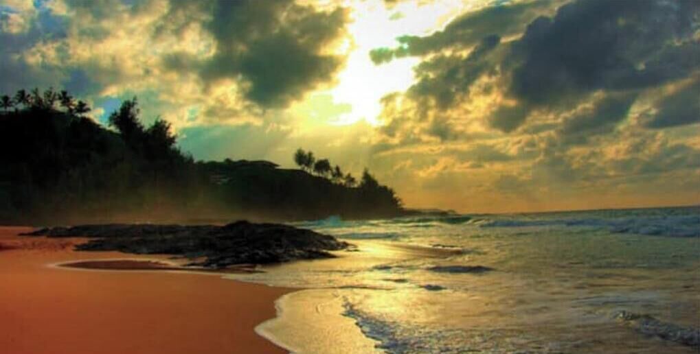 Photo of Others in Princeville