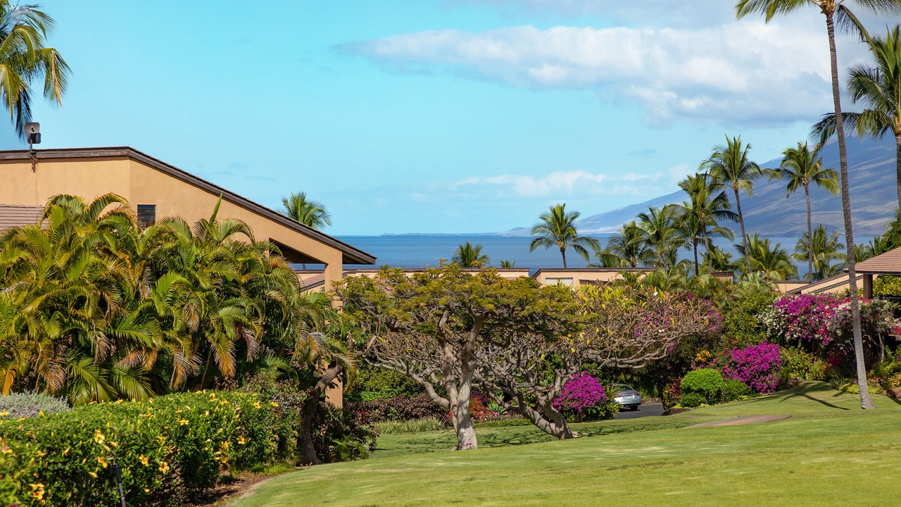 Photo of Others in Wailea