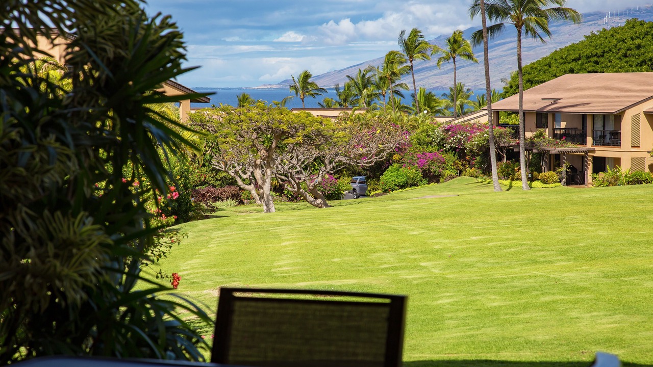 Photo of Others in Wailea