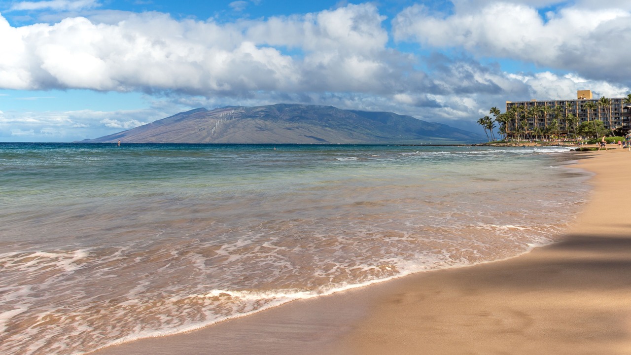Photo of Others in Wailea