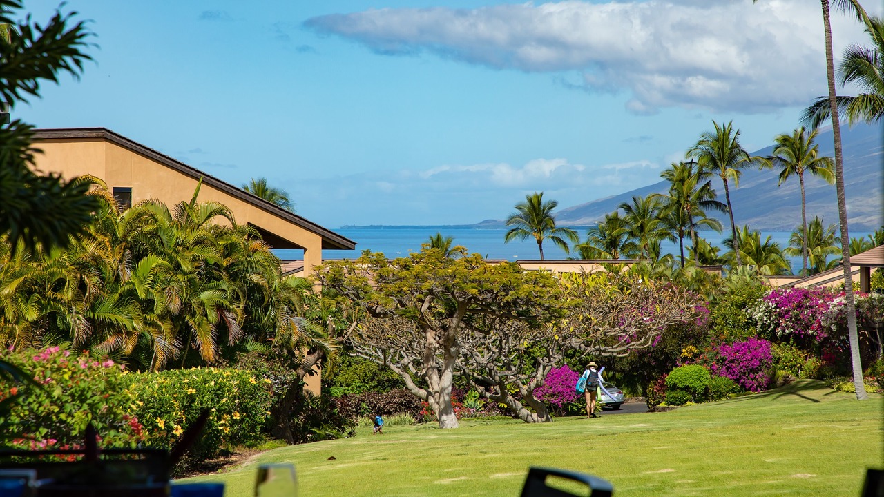 Photo of Others in Wailea