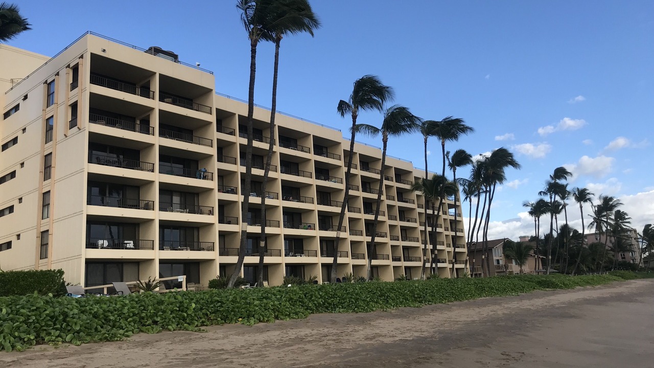 Photo of Outdoor in Kihei