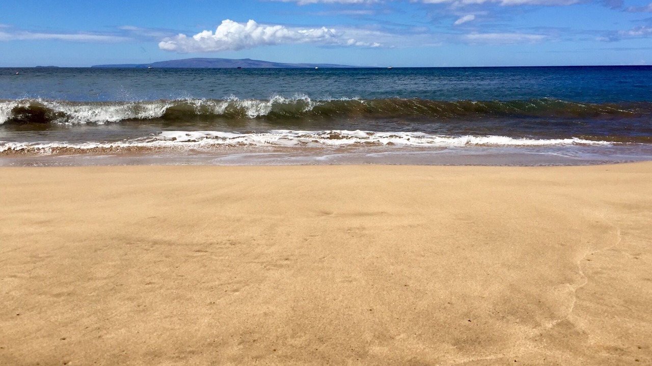 Photo of Others in Kihei