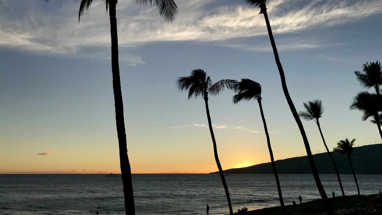 Photo of Others in Kihei