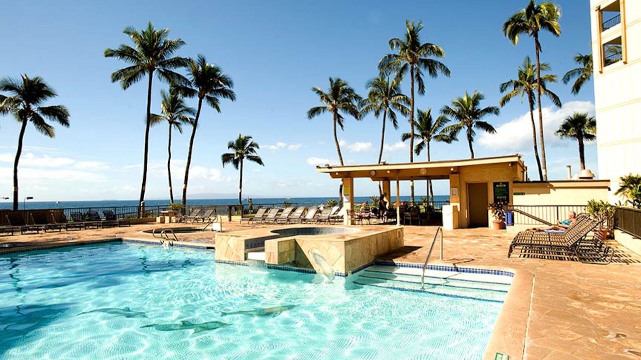 Photo of Outdoor in Kihei