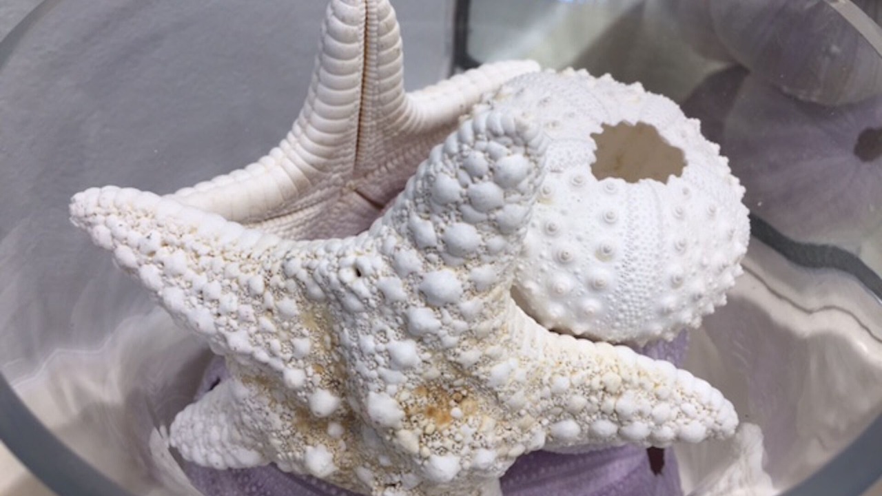 Photo of Others in Kihei