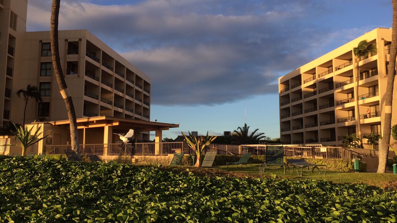 Photo of Outdoor in Kihei