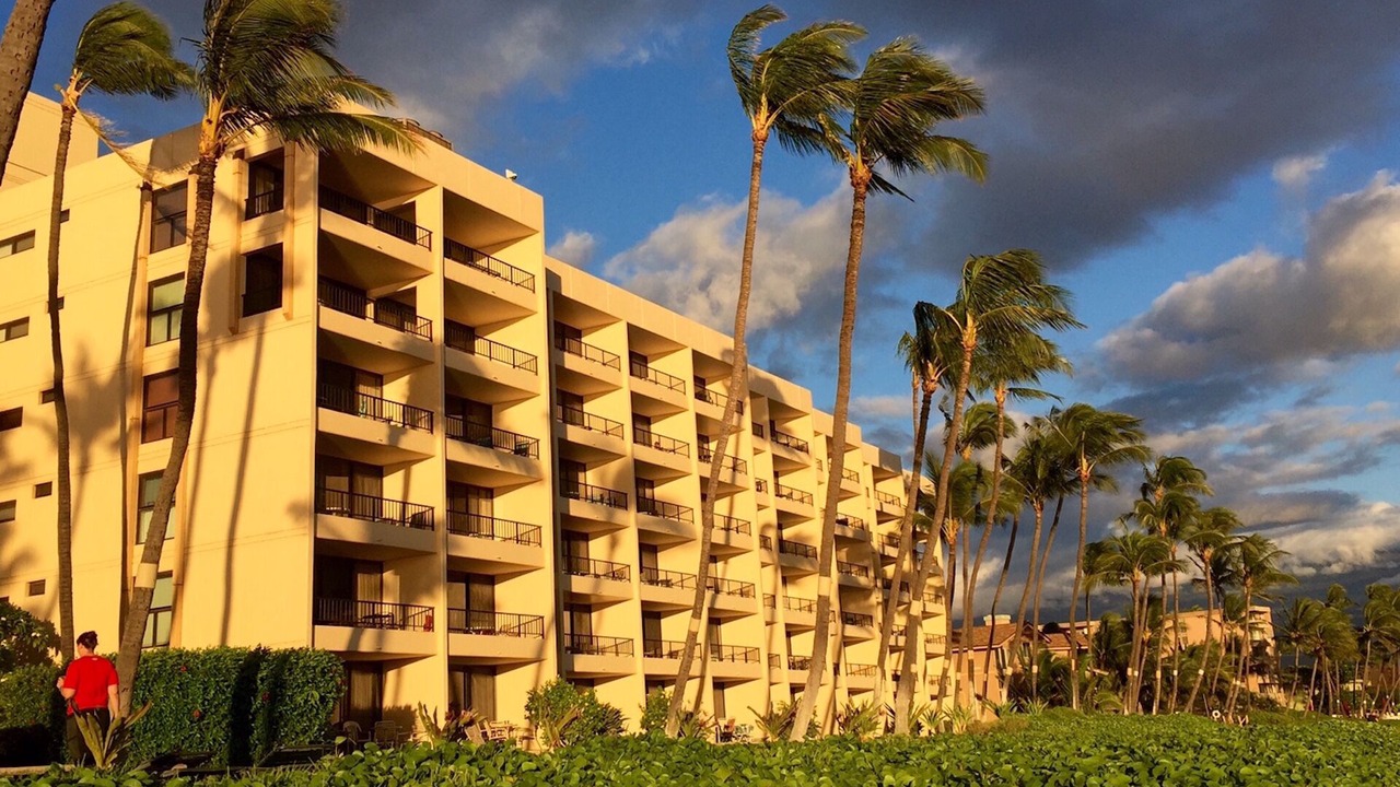 Photo of Outdoor in Kihei