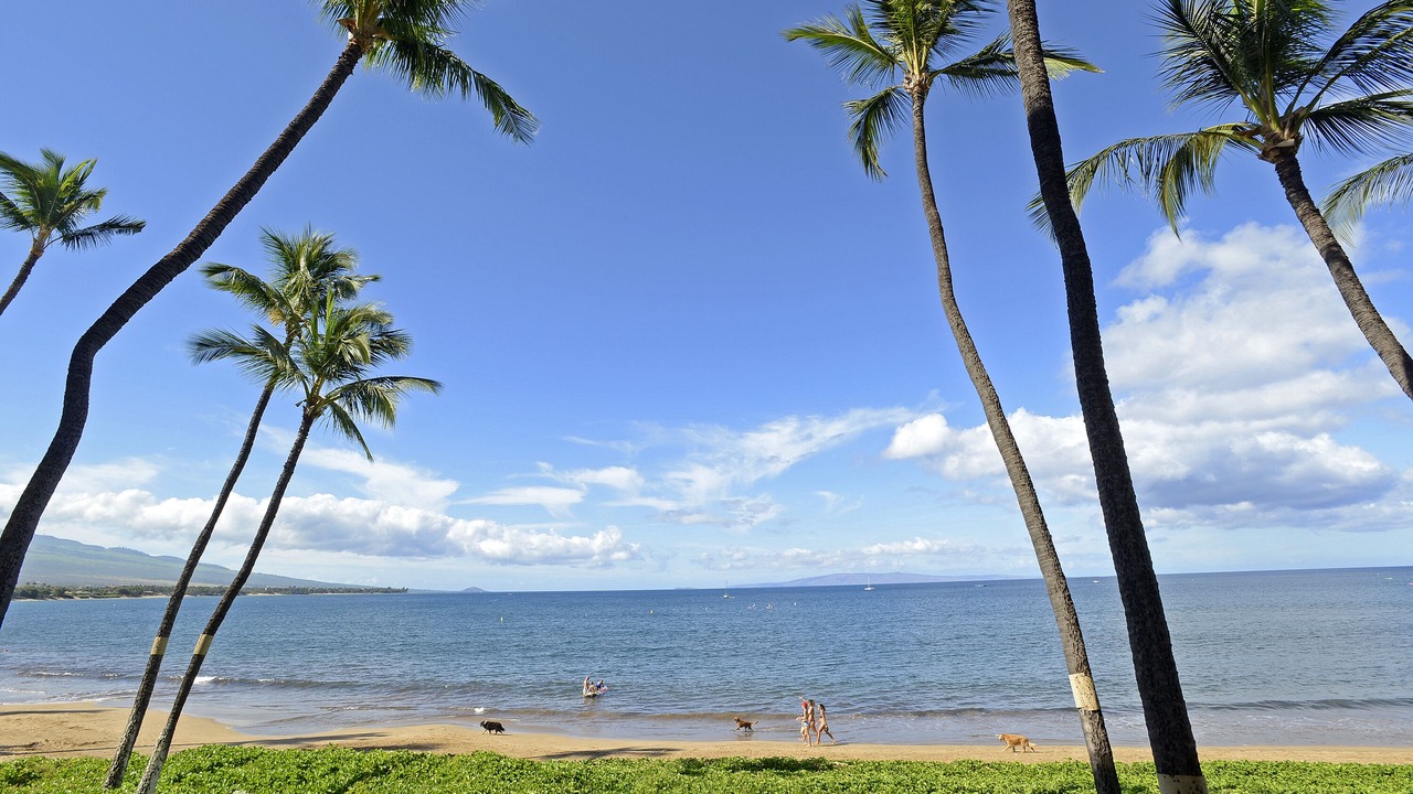 Photo of Patio Balcony in Kihei