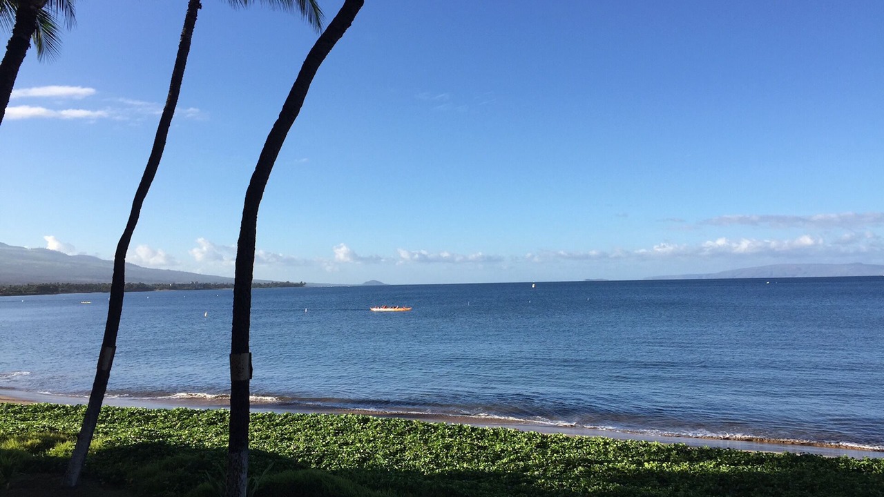 Photo of Others in Kihei