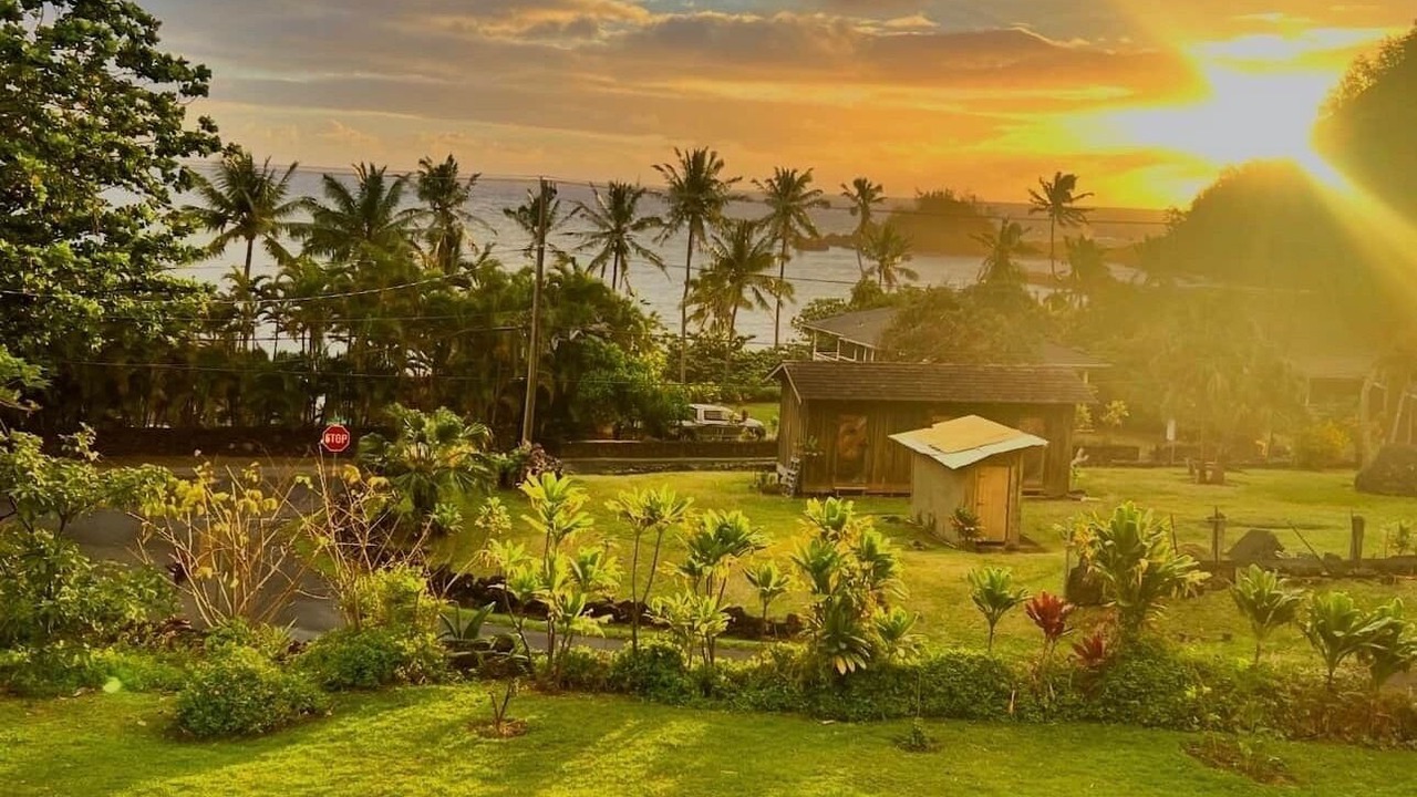 Photo of Others in Hana