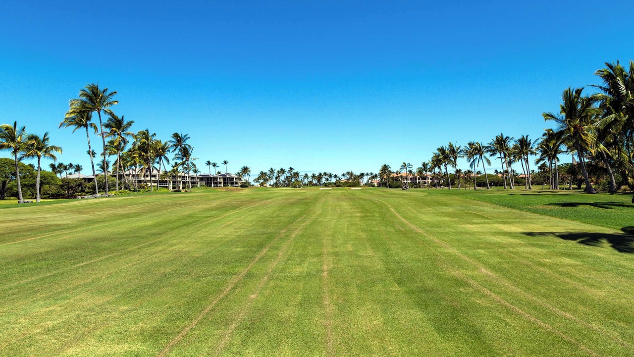Photo of Others in Waikoloa