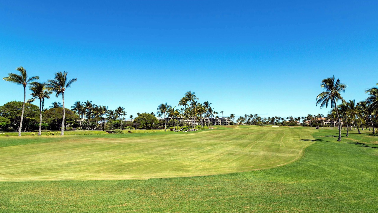Photo of Others in Waikoloa